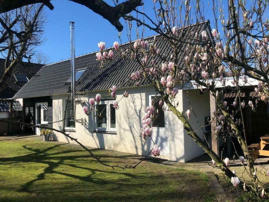 De Hazeldonck Holiday home Gemert